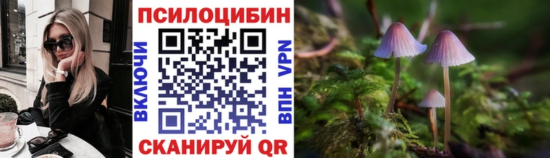 Псилоцибиновые грибы Magic Shrooms Вуктыл